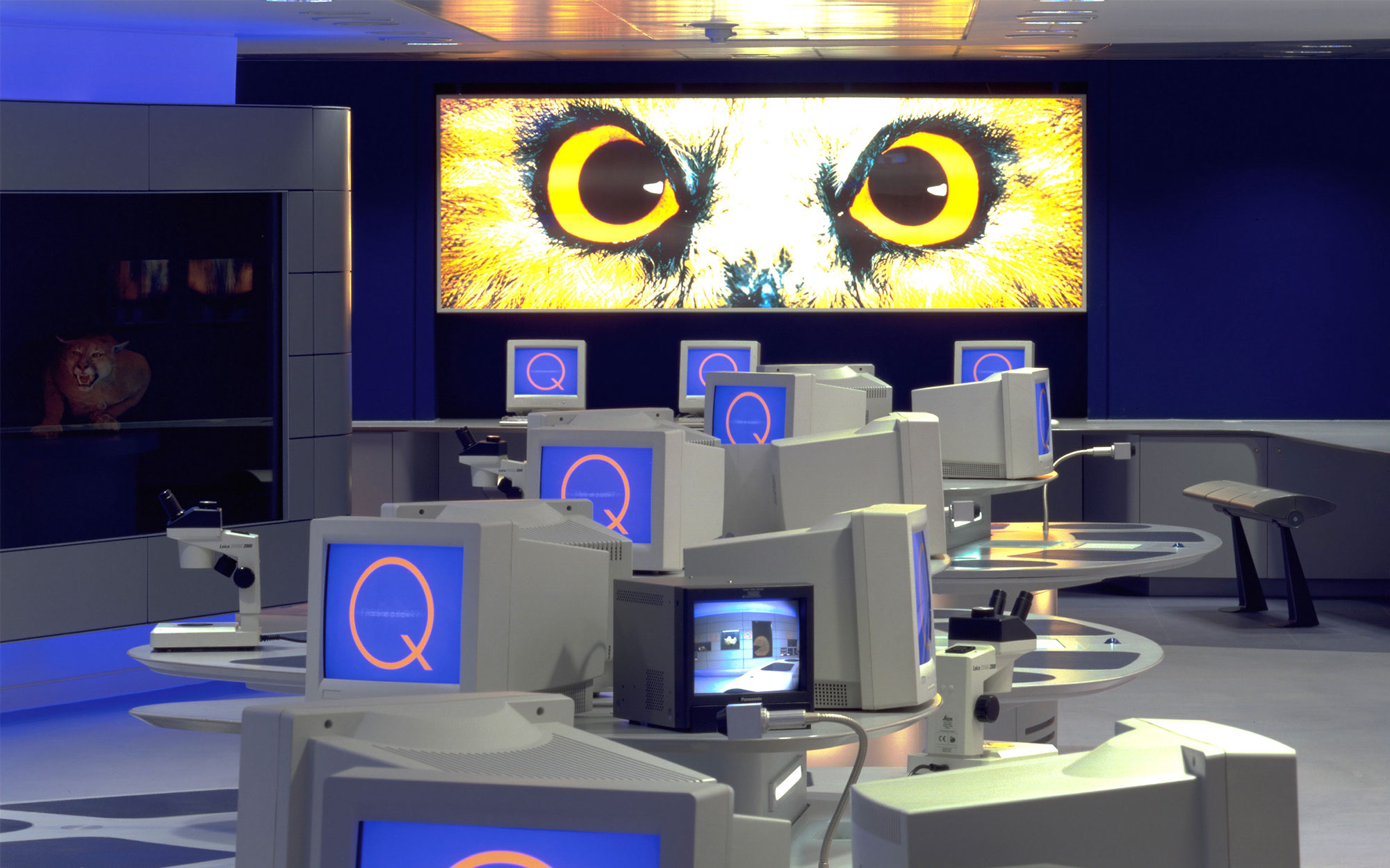 Featured image for Investigate Gallery